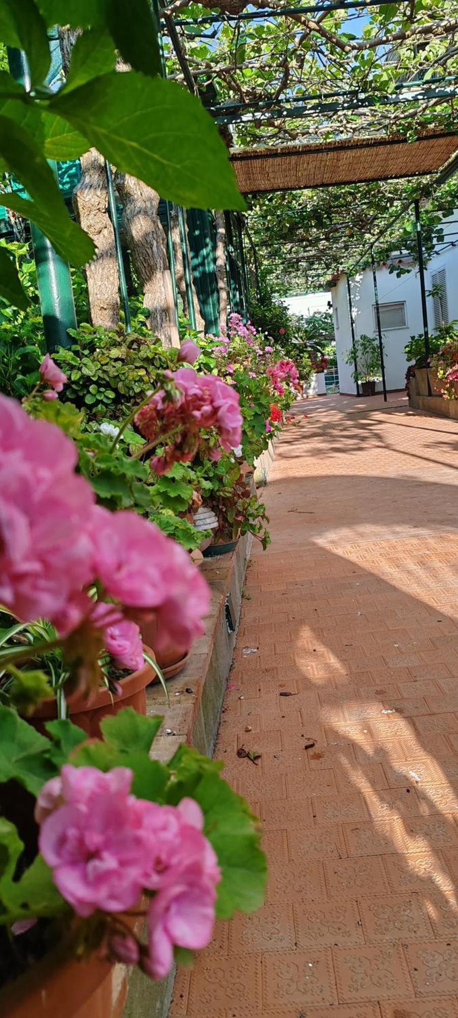 Villa Dei Fiori B&B Капри Екстериор снимка